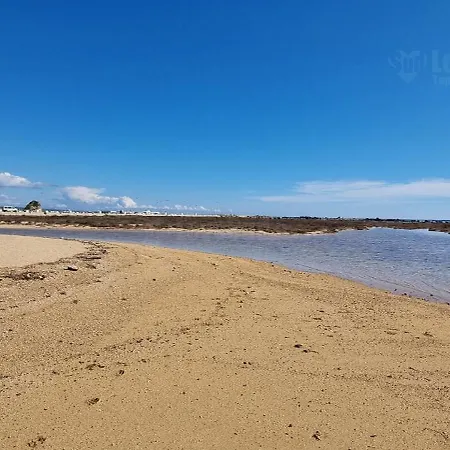 By Lovesud * Torre Pali